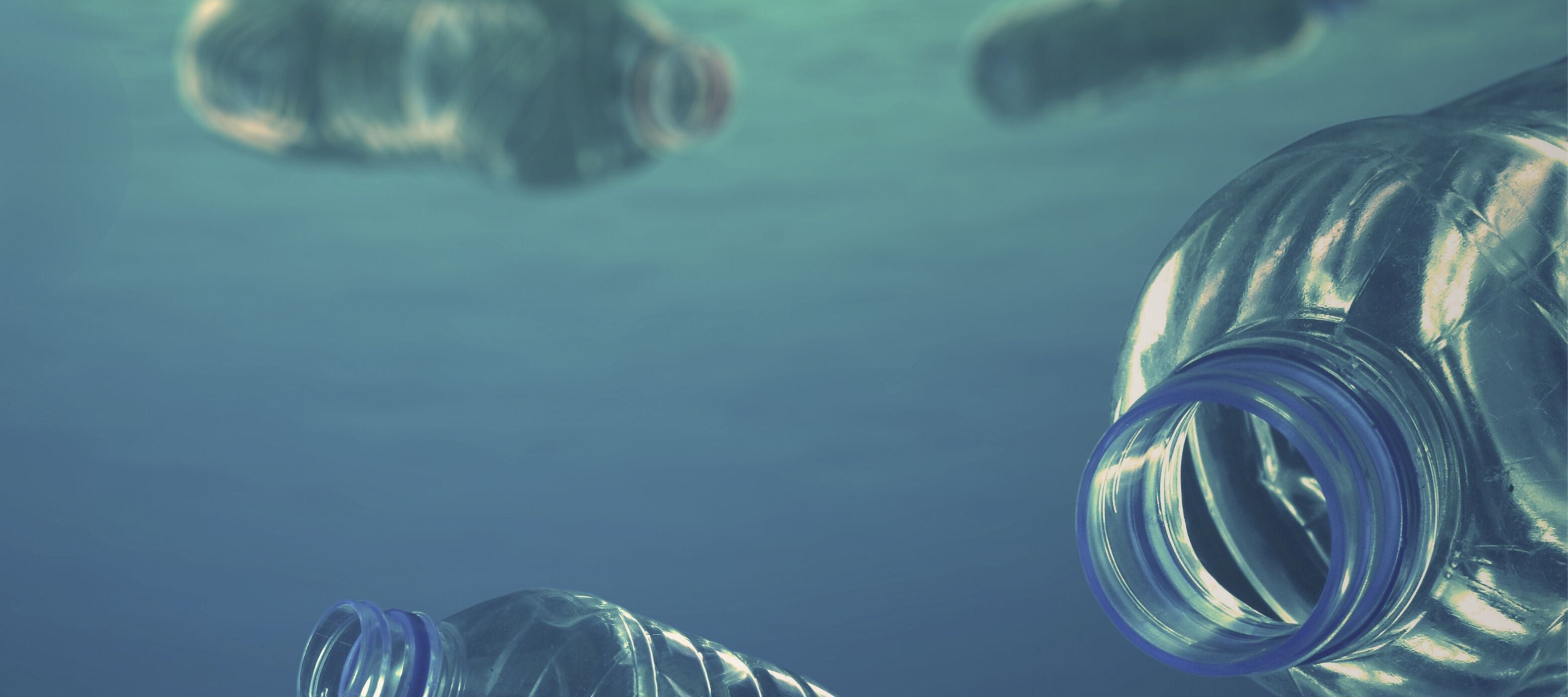 PET bottles pollute seas and oceans but can be recycled and turned into useful materials thereby reducing pollution and waste